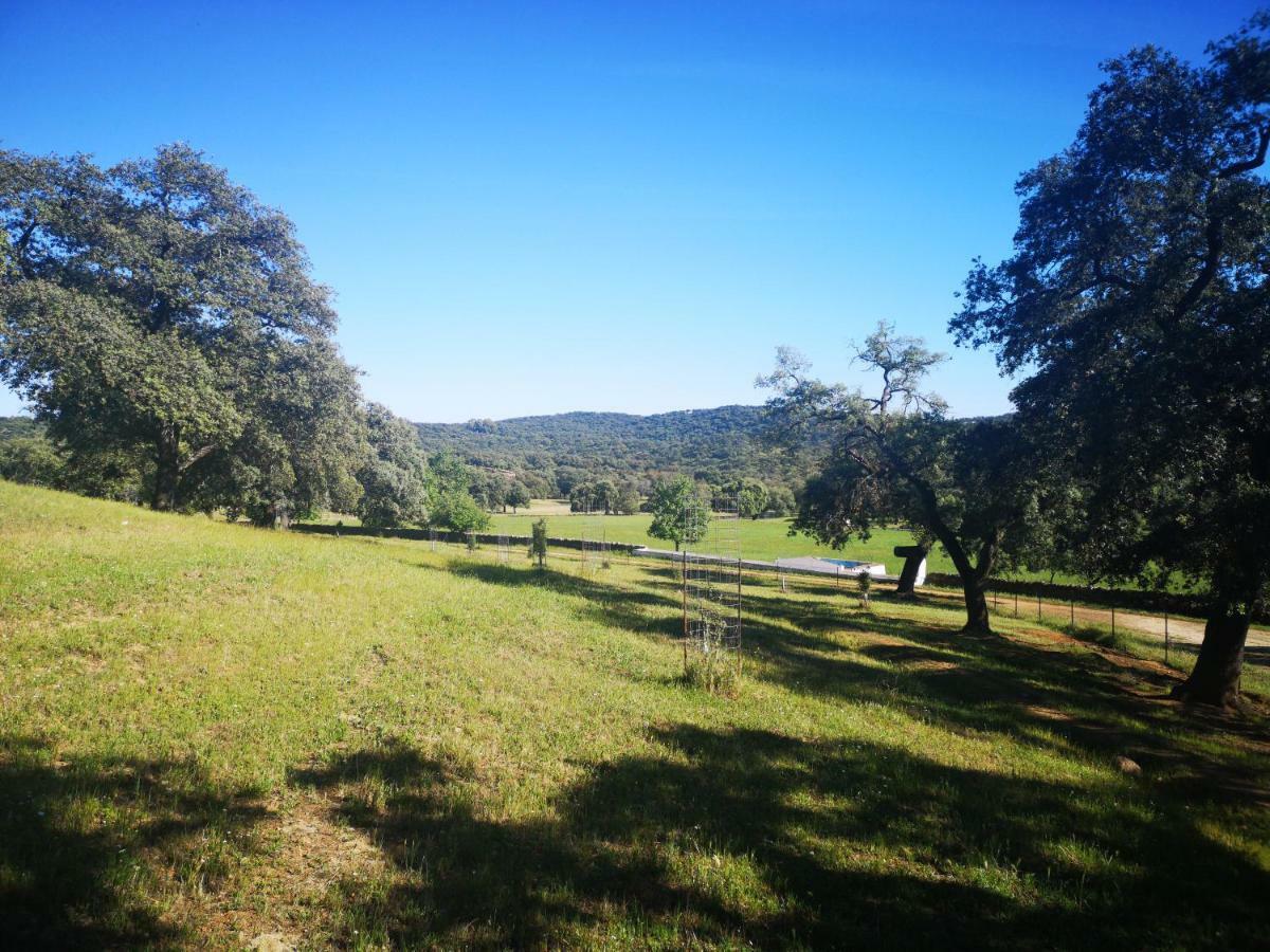 Casa Rural La Dehesilla Cazalla de la Sierra Esterno foto
