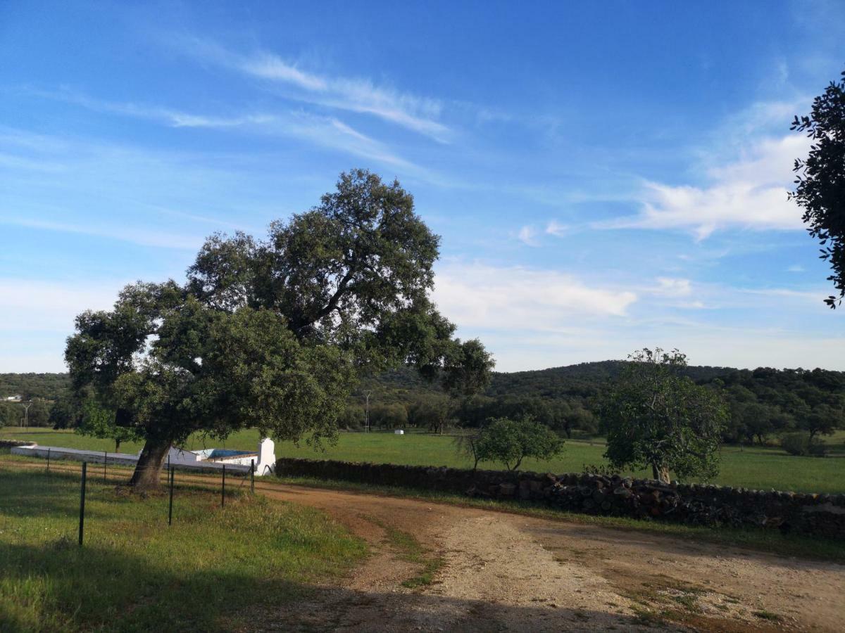 Casa Rural La Dehesilla Cazalla de la Sierra Esterno foto