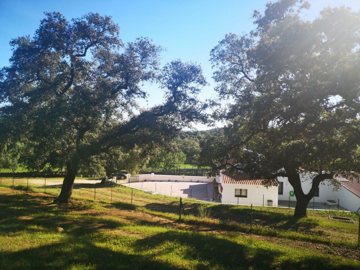 Casa Rural La Dehesilla Cazalla de la Sierra Esterno foto